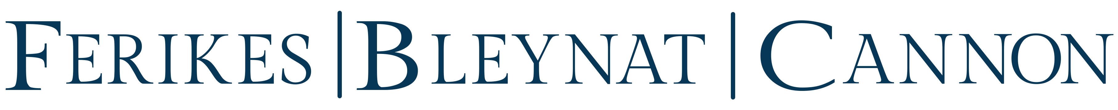 Ferikes Bleynat & Cannon PLLC Logo